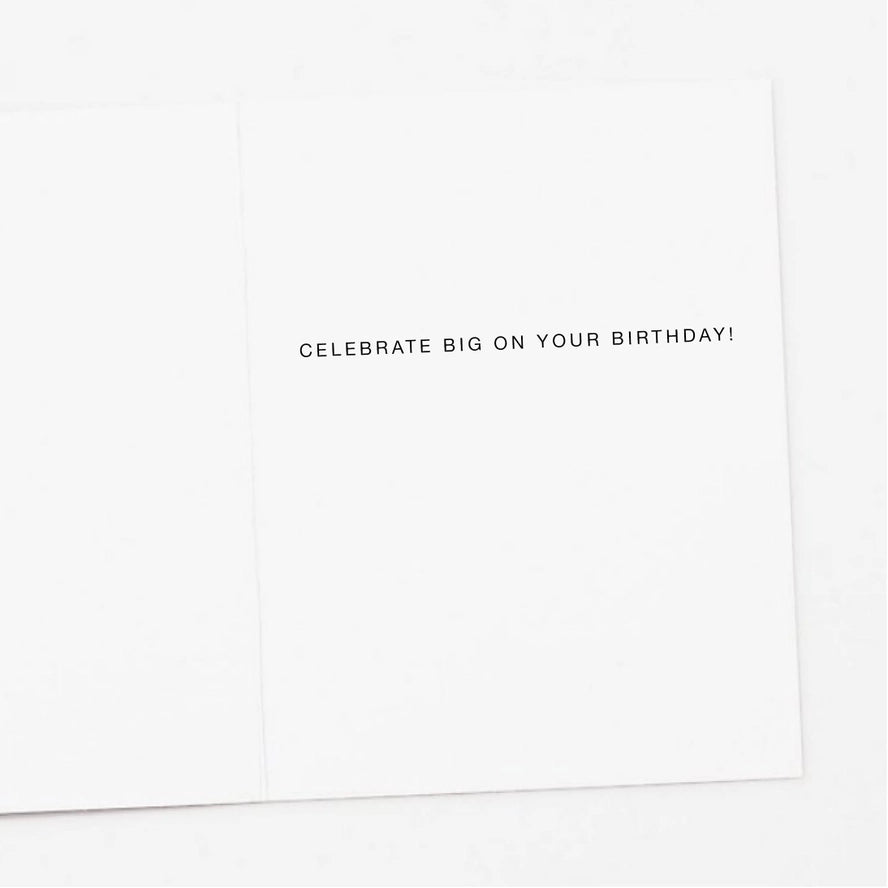 Disco Raccoon Birthday Card