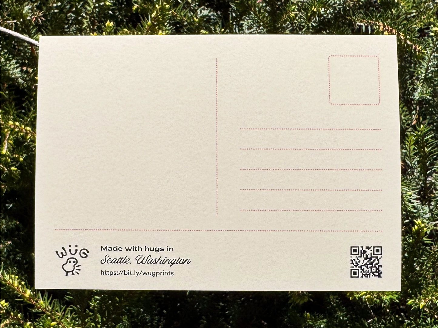 UW Good Boys Club Husky Postcard