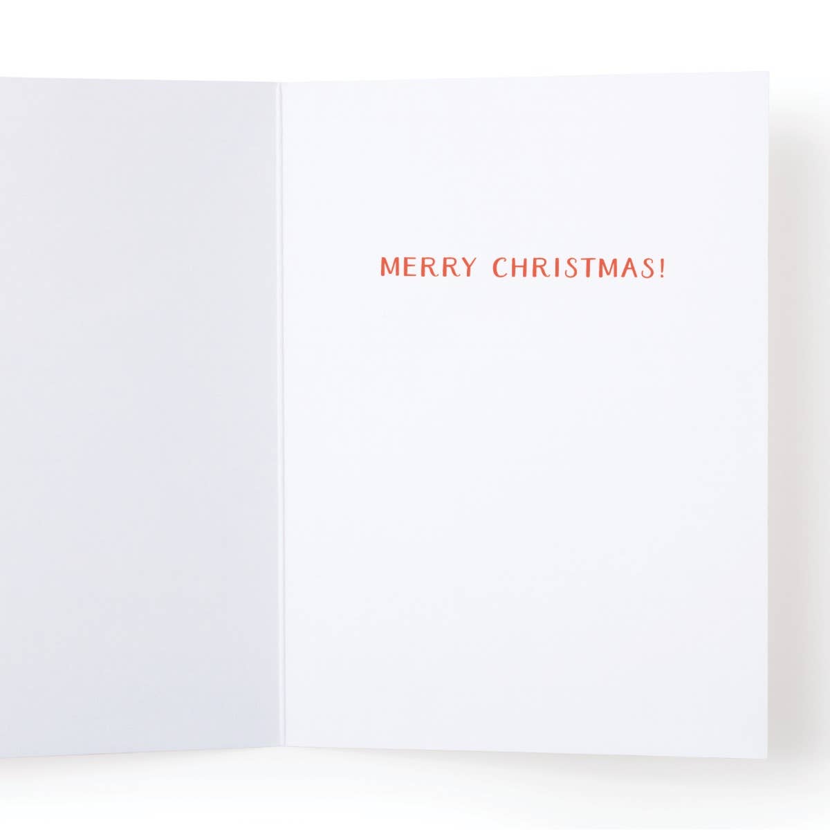 You Sleigh B*tch! Greeting Card