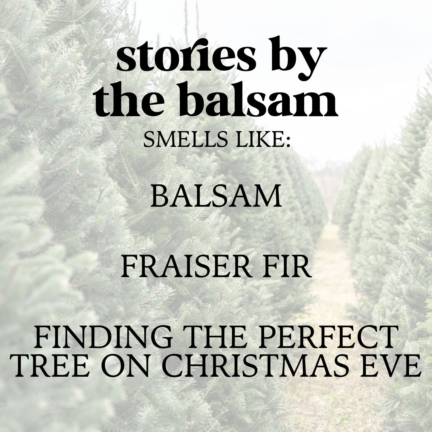 Bookish Travel Candle - Stocking Stuffer - Christmas Tree