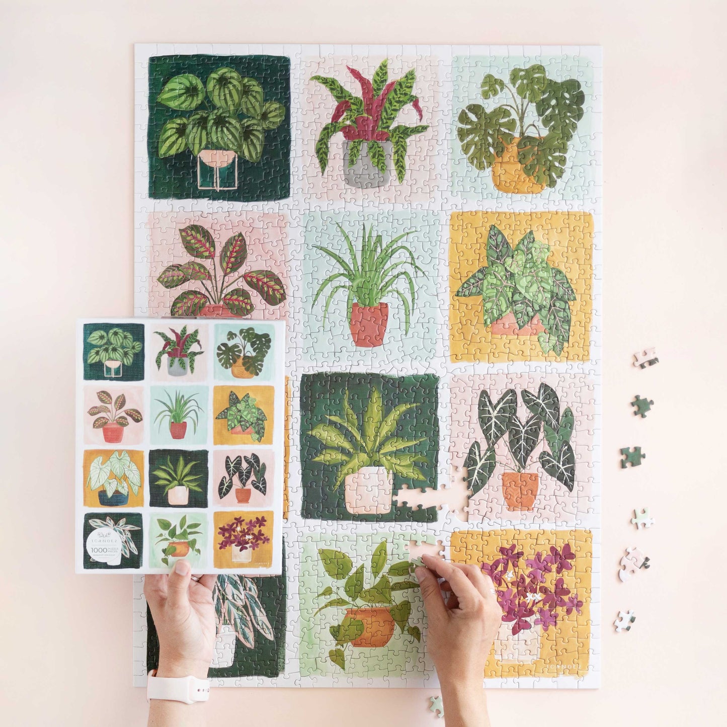 Houseplants Puzzle